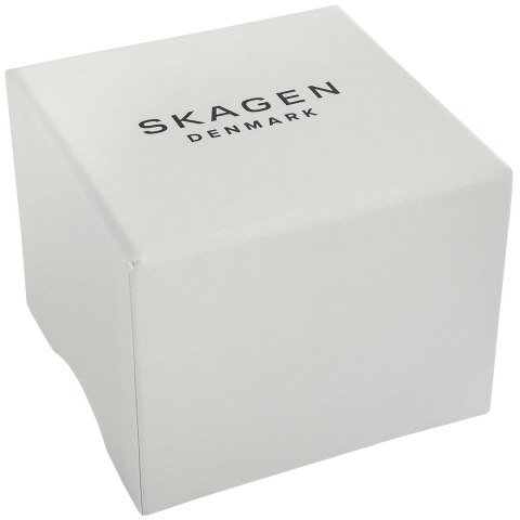 Zegarek Męski SKAGEN Signatur SKW6902 + BOX